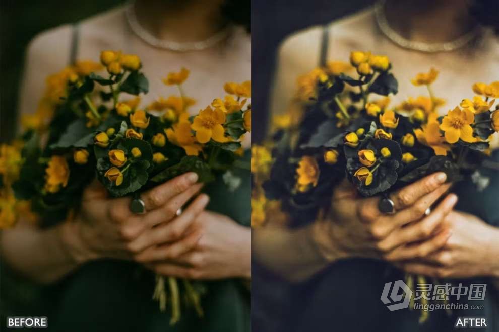 自然风光胶片人像Lightroom预设 Nature Lightroom Presets for mobile and desktop  灵感中国网 www.lingganchina.com