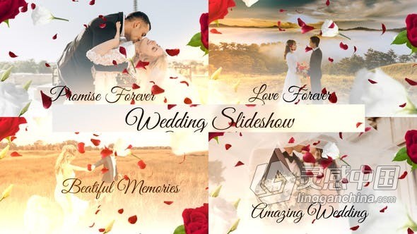 花瓣动画浪漫优雅婚礼视频晚会活动颁奖仪式介绍视频AE模版 Wedding Slideshow  灵感中国网 www.lingganchina.com