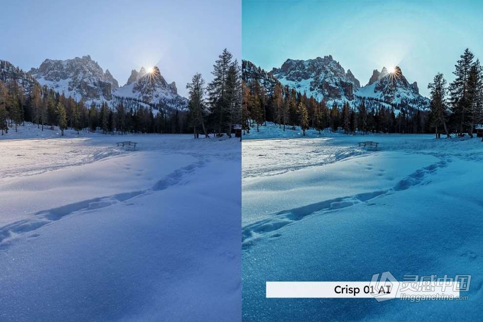 20款冬季雪景户外摄影后期调色LUT预设 20 Winter Forest Lightroom Presets  灵感中国网 www.lingganchina.com