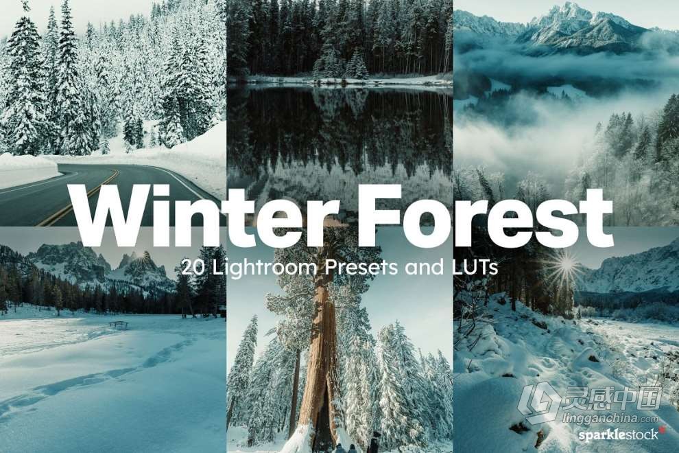20款冬季雪景户外摄影后期调色LUT预设 20 Winter Forest Lightroom Presets  灵感中国网 www.lingganchina.com