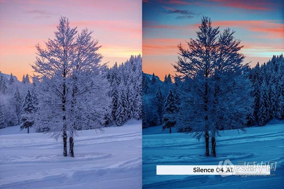 20款冬季雪景户外摄影后期调色LUT预设 20 Winter Forest Lightroom Presets  灵感中国网 www.lingganchina.com