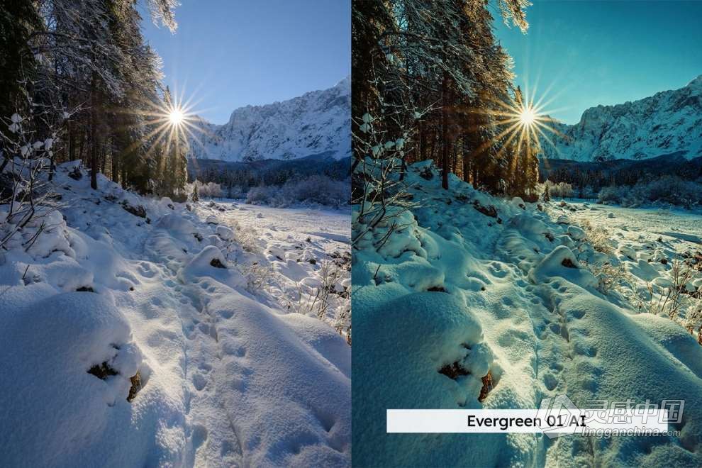 20款冬季雪景户外摄影后期调色LUT预设 20 Winter Forest Lightroom Presets  灵感中国网 www.lingganchina.com