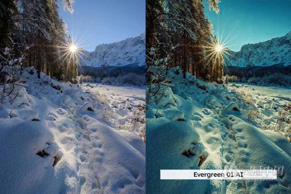 20款冬季雪景户外摄影后期调色LUT预设 20 Winter Forest Lightroom Presets  灵感中国社区 www.lingganchina.com