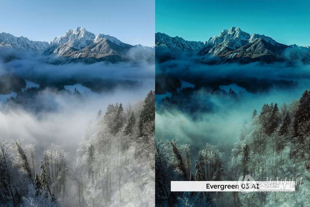 20款冬季雪景户外摄影后期调色LUT预设 20 Winter Forest Lightroom Presets  灵感中国网 www.lingganchina.com