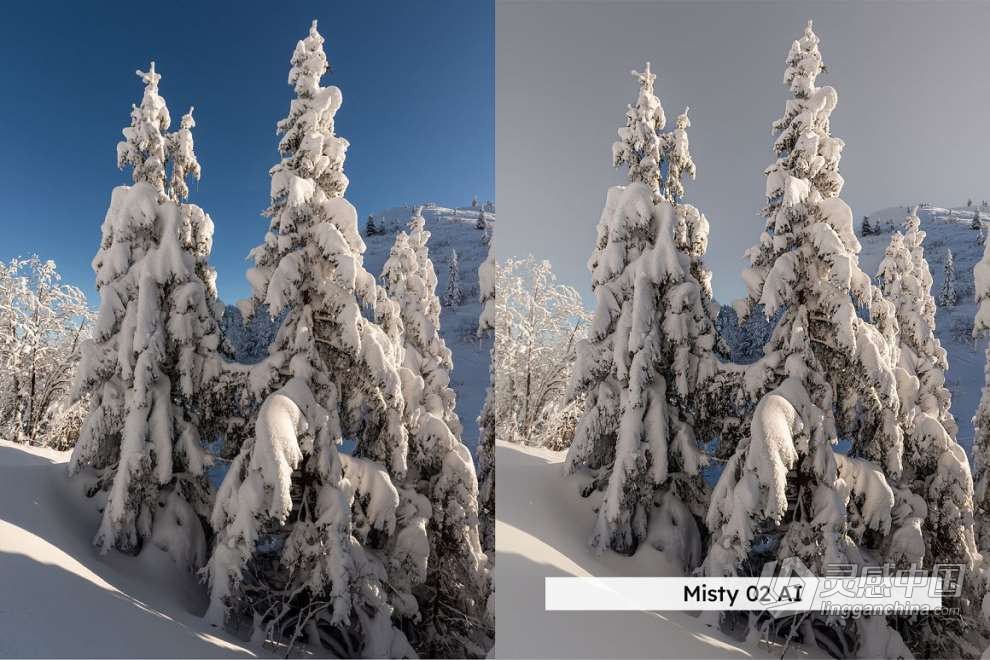 20款冬季雪景户外摄影后期调色LUT预设 20 Winter Forest Lightroom Presets  灵感中国网 www.lingganchina.com