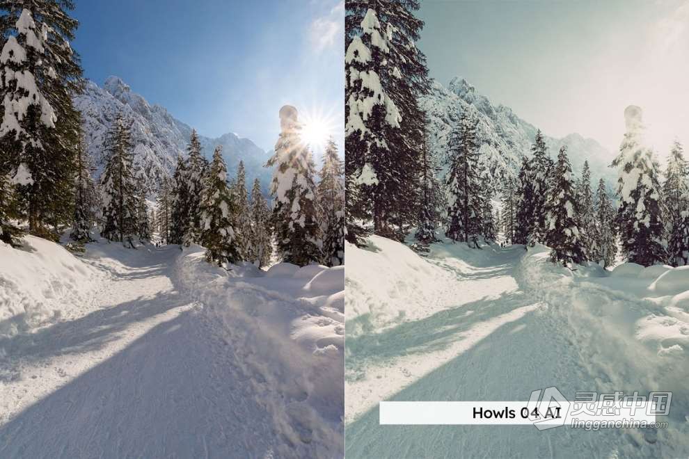 20款冬季雪景户外摄影后期调色LUT预设 20 Winter Forest Lightroom Presets  灵感中国网 www.lingganchina.com