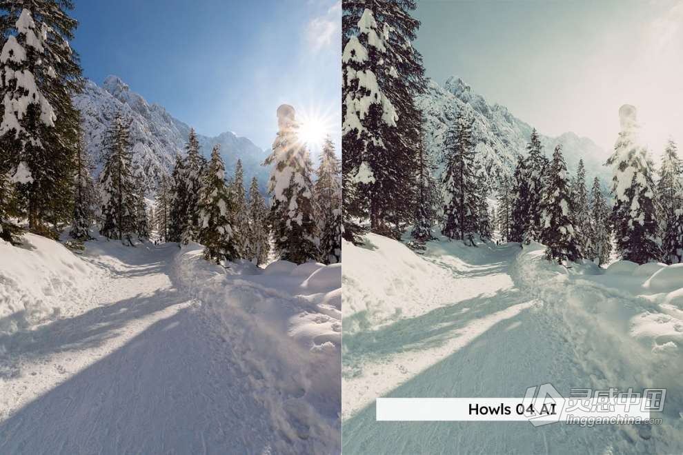 20款冬季雪景户外摄影后期调色LUT预设 20 Winter Forest Lightroom Presets  灵感中国社区 www.lingganchina.com