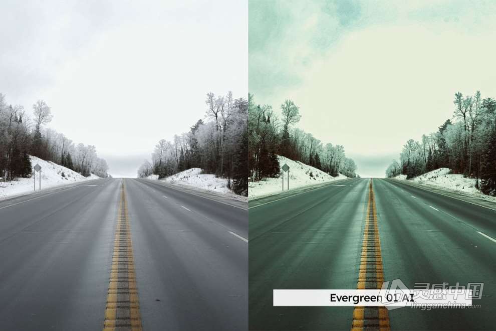 20款冬季雪景户外摄影后期调色LUT预设 20 Winter Forest Lightroom Presets  灵感中国网 www.lingganchina.com