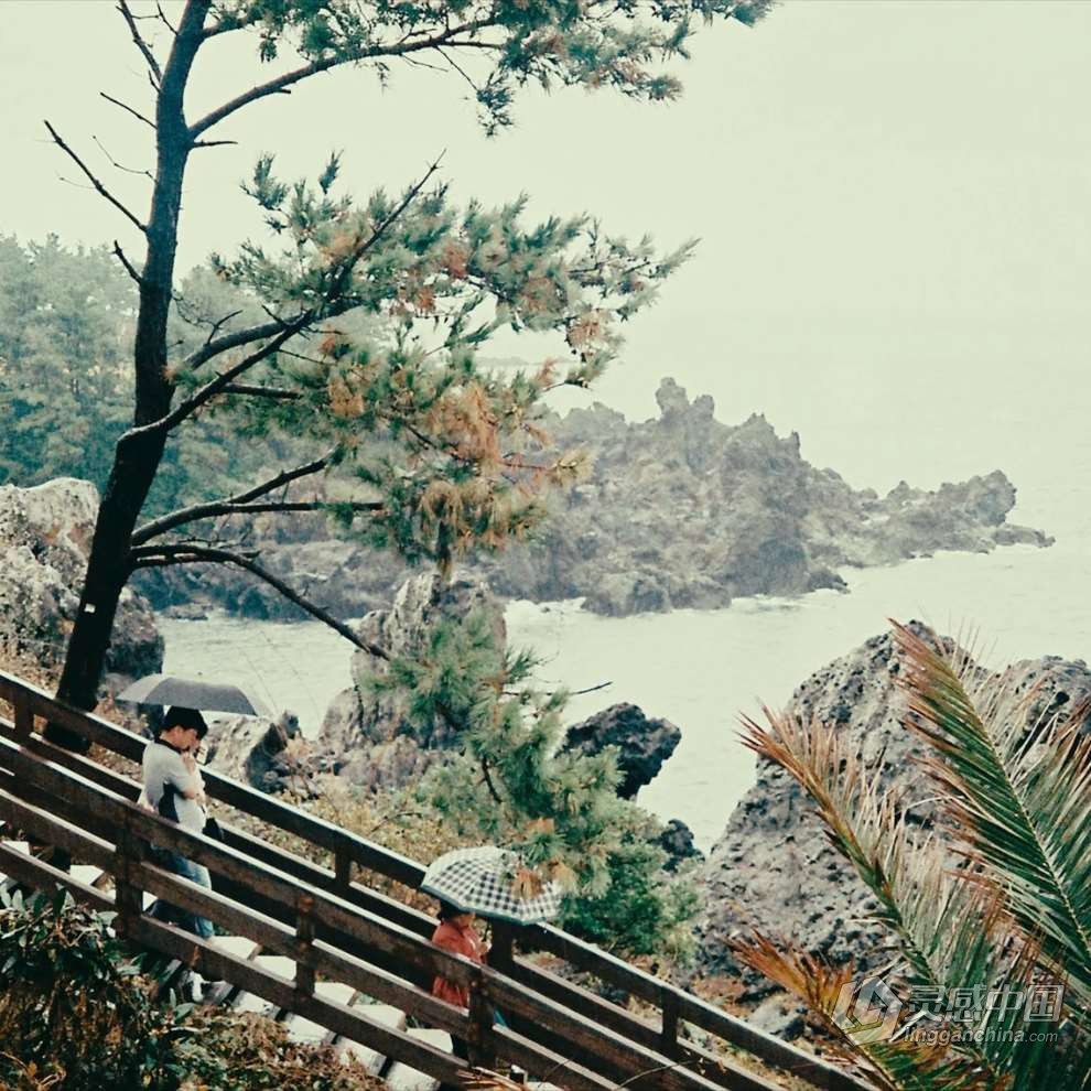 真实复古富士 FUJIFILM 3513胶片模拟照片视频调色LUT预设 Analogica Lab – Super16 FUJI 3513 16MM Film  灵感中国网 www.lingganchina.com