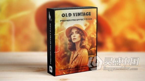 8mm怀旧复古电影风格效果叠加PR模板 Vintage 8mm Effect  灵感中国网 www.lingganchina.com