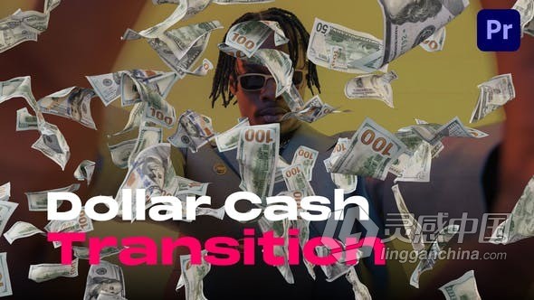 11个纸币美元现金飞行钞票过渡效果PR模板 Dollar Cash Transitions  灵感中国网 www.lingganchina.com