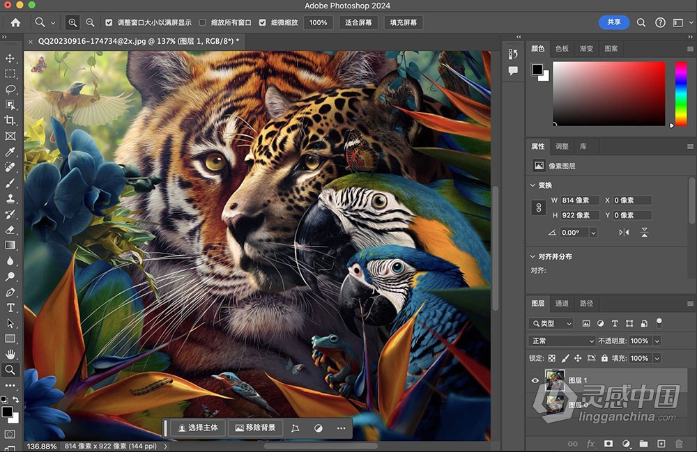 Adobe Photoshop 2024 v25.4（24年1月版）PS 2024正式版 Mac版本下载 支持intel/M1/M2/M3  灵感中国网 www.lingganchina.com
