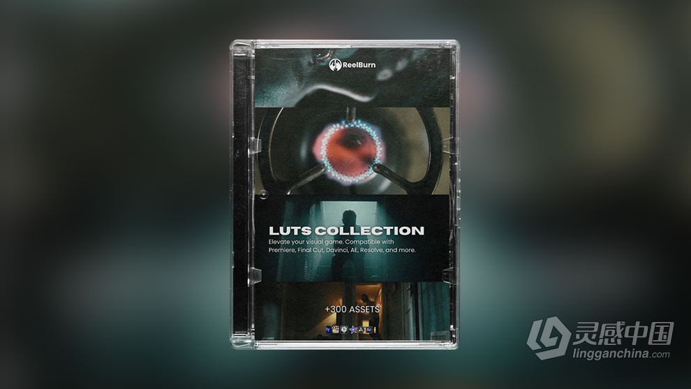 287款电影大片胶片复古艺术美学视频LUT调色预设滤镜合集 ReelBurn – Luts Collections  灵感中国网 www.lingganchina.com