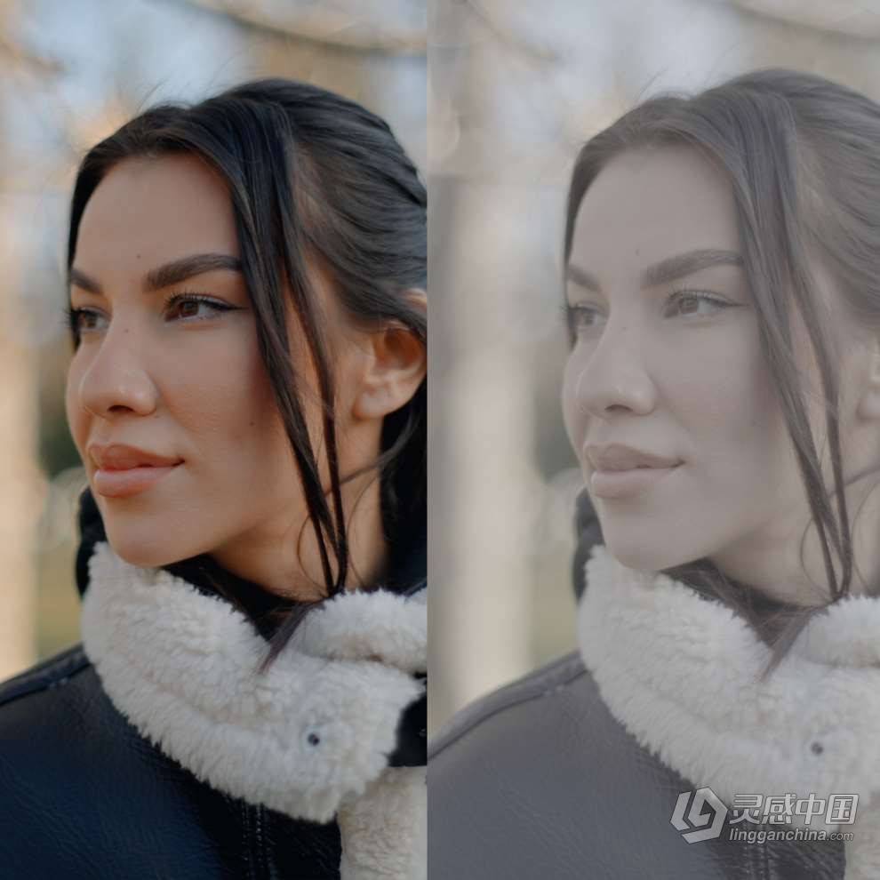 Alexandru Don 21款Sony Slog 3商业人像肤色曝光校准LUTS调色预设 Sony Slog 3 LUTS – Skintone Editi  灵感中国网 www.lingganchina.com