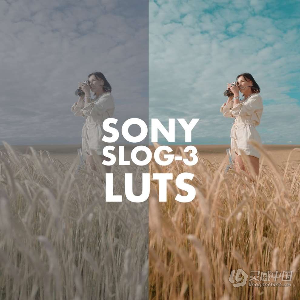 Alexandru Don 21款Sony Slog 3商业人像肤色曝光校准LUTS调色预设 Sony Slog 3 LUTS – Skintone Editi  灵感中国网 www.lingganchina.com