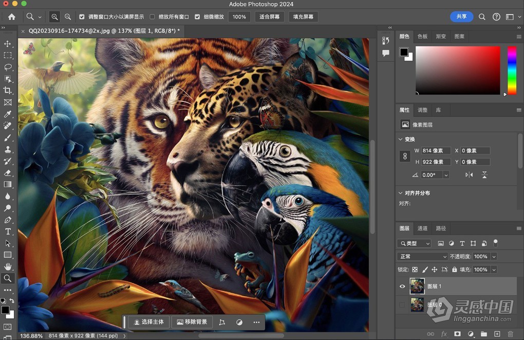 Adobe Photoshop 2024 v25.7（24年4月版）PS 2024正式版 Mac系统Sice版本下载 支持intel/M1/M2/M3  灵感中国网 www.lingganchina.com