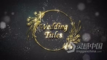 AE模板-闪亮金色光泽花艺设计花卉婚礼标题AE模板下载