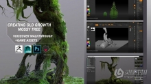 Zbrush古老苔藓树游戏资产制作全流程视频课程 中文字幕