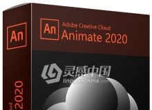Adobe Animate 2020 20.0.0.17400 ACR 12.0 Win 10 x64系统一键安装完整版
