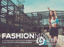 高级杂志级时装人像混合Lightroom预设 Fashion Mix Lightroom Presets