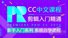 Pr CC 2015剪辑入门系统自学课程Premiere Pro CC 2015中文视频教程 新手PR剪辑入门课程