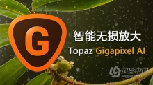 AI人工智能图像无损放大汉化PS插件Topaz Gigapixel AI 5.1.7中文汉化版 支持PS 2021