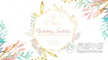 AE模板-清新简约婚礼请柬花卉动画电子邀请函AE模板下载 Wedding Invitation Intro