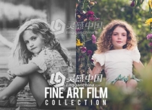 艺术电影胶片集Lr预设 Fine Art Film Lightroom Presets Collection