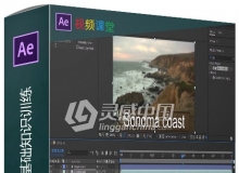 After Effects CC基础知识训练视频教程