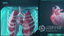 视频素材 HUD信息图心力衰竭功能心脏病疾病医学医疗保健系统屏幕全息概念视频素材下载