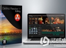 DaVinci Resolve 11视频编辑综合训练视频教程Ripple Training Editing in DaVinci ...