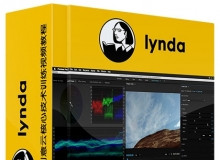 Premiere Pro 2015 CC创意云核心技术训练视频教程Premiere Pro 2015 Creative Clou...