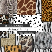 用于 Photoshop 和 Photoshop Elements 的 17种动物毛发和18个PS笔刷图案 Animals Prints