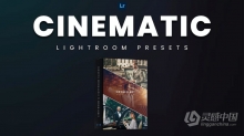 高端电影胶片人像Lightroom预设 10 Cinematic Lightroom Presets