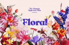 71张复古半色调颗粒风格花草植物PNG剪贴素材 Studio 2am – Floral：70+ Vintage Floral Cut-Outs