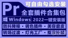 2022版pr全套插件合集中文一键安装包 pr 2022汉化插件 Adobe Premiere Pro 2022合集包 win版本下载