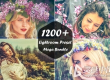 1200+Lightroom预设大礼包 1200+ Lightroom Presets Mega Bundle