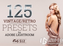 125 Lightroom 的老式复古预设 Vintage Preset