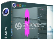 C4D样条线使用技术训练视频教程