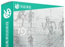 一套非常好的人体透视高清视频教程