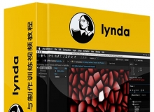 AE特效预设管理与制作训练视频教程Lynda After Effects Guru Effects and Preset M...