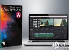 DaVinci Resolve 12达芬奇调色新功能训练视频教程Ripple Training What’s New in ...