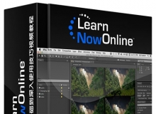 After Effects CC从基础到深入使用技巧视频教程LearnNowOnline After Effects CC I...