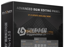 专业黑白明度编辑处理扩展面板BW Artisan Pro v1.3.0汉化版 支持PS CC 2019