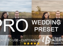 婚庆暖色调lightroom预设Warm Wedding Lightroom Professional Preset