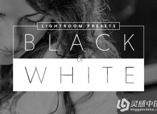 专业黑白效果Lightroom预设 Black&White Lightroom Presets