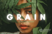 复古电影胶片人像Lightroom调色预设 Grain Film Lightroom Presets