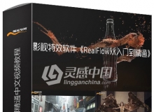 CUBE罗容宇Realflow从入门到精通中文视频教程