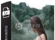 Peter Mckinnon -15个质感色彩心情风格预设 Lightroom Preset Pack 2017