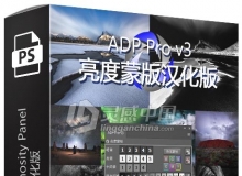 ADP Pro 3.1 Luminosity Panel 亮度蒙版汉化版